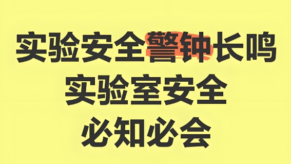 关于开展2025学年新进人员实...